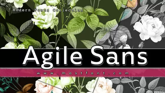 Typographic Design of Agile-Sans