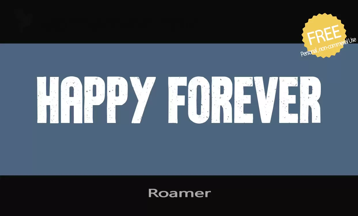 「Roamer」字体效果图