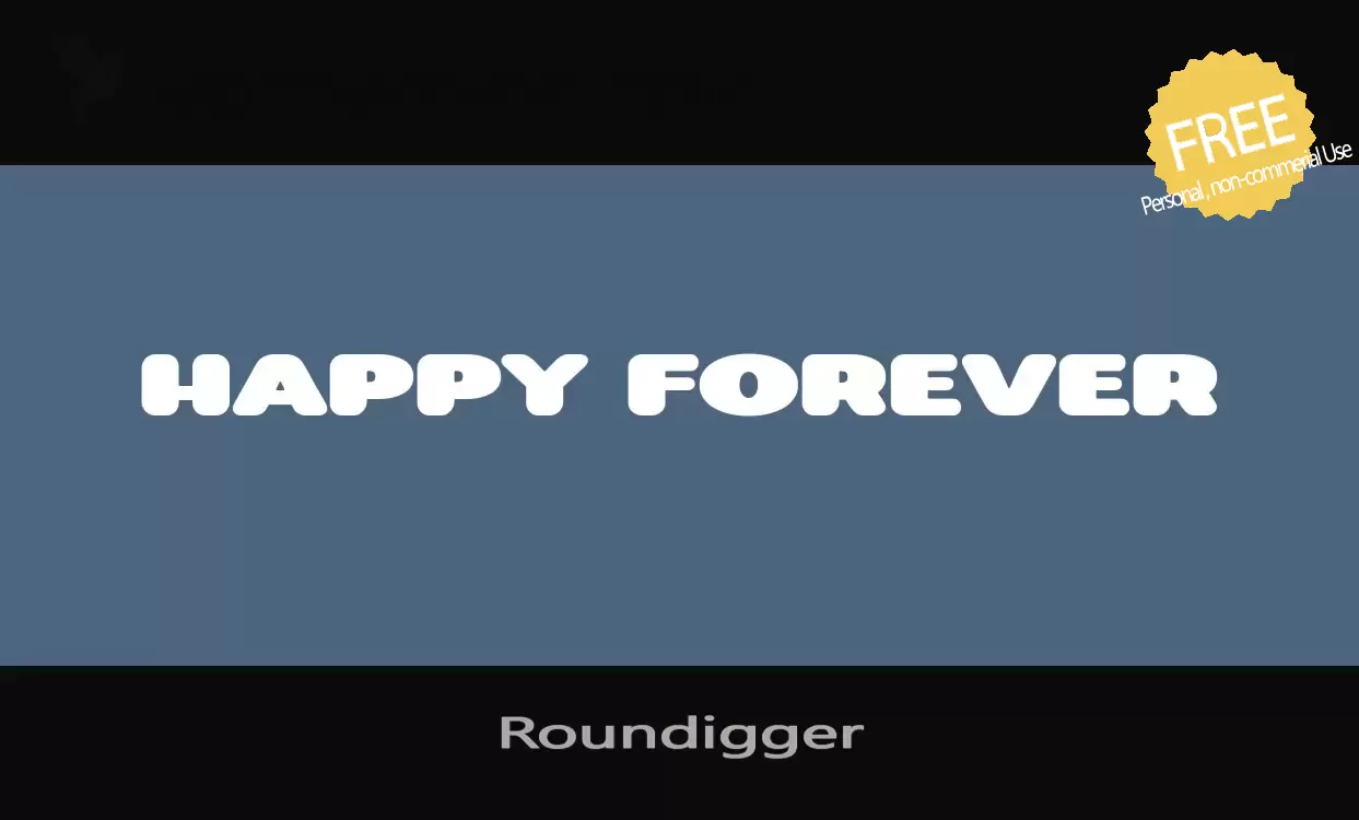 Sample of Roundigger