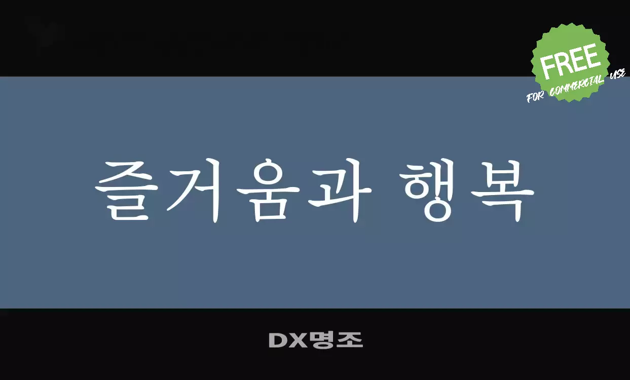 「DX명조」字体效果图