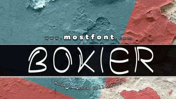 Typographic Design of Bokier