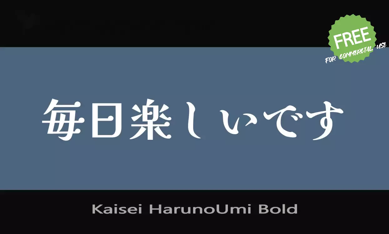 「Kaisei-HarunoUmi-Bold」字体效果图