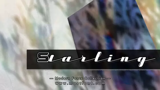 「Starling」字体排版样式