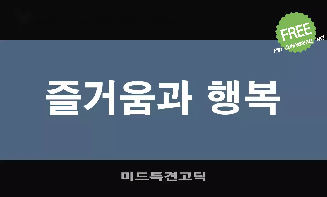 Font Sample of 미드특견고딕