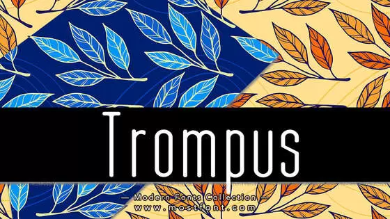 Typographic Design of Trompus