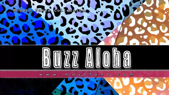 Typographic Design of Buzz-Aloha