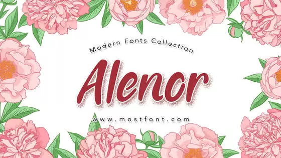 Typographic Design of Alenor