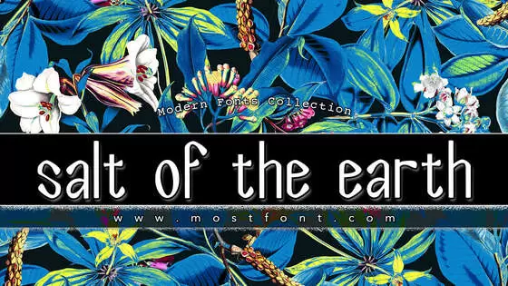 「Salt-Of-The-Earth」字体排版样式