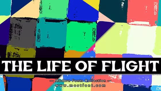 「The-Life-Of-Flight」字体排版样式